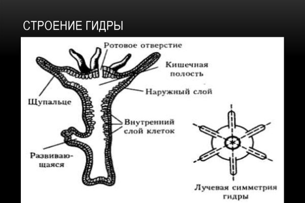 Закладки наркотики