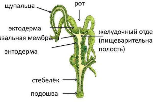 Сайт мега отзывы