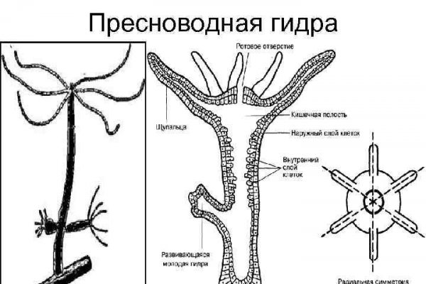 Новый домен меги