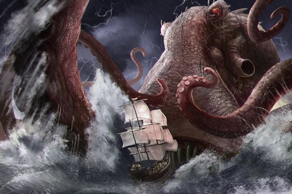 Kraken new